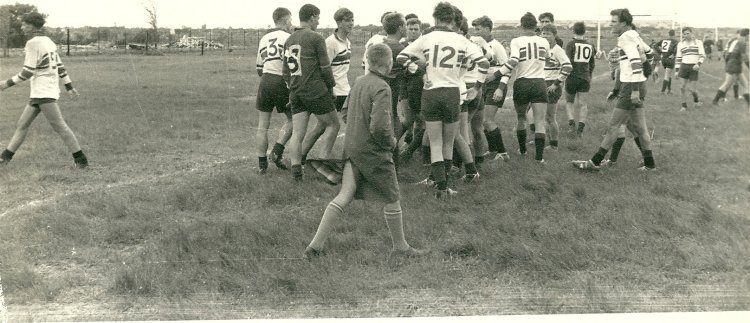 [JJ du Preez Under 19 first team 1963 (2)-website.jpg]